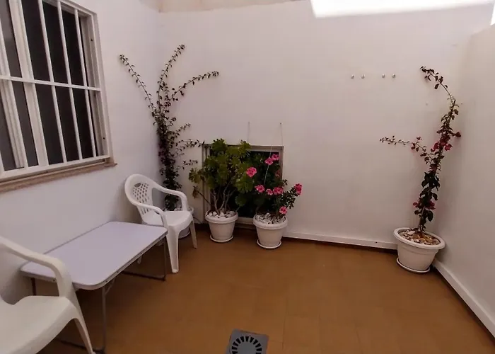 Lejlighed 250 M From Locos