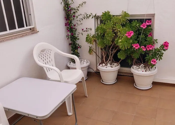 250 M From Locos * Torrevieja